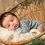 baby, infant, wicker_basket, blanket, soft_texture, greenery, cozy, portrait, child, cute, relaxed, knit_clothing, head, face, indoor, natural_light, peaceful, newborn, candid, resting
