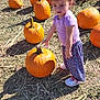 child, toddler, pumpkin, pumpkin_patch, outdoor, daylight, purple_shirt, floral_pants, shoes, hay, ground, autumn, fall, curious, standing, nature, seasonal, orange, cute, young