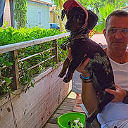 Rosie participe au concours pour gagner de l'argent avec cette photo : ball, bucket, casual_clothing, dog, fence, glasses, greenery, hand_holding, hat, man, outdoor, pet, plants, portrait, railing, relaxation, summer, sunlight, toy, wooden_deck