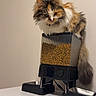 cat, calico_cat, fluffy, long_hair, pet, animal, feline, kibble, cat_food, food_dispenser, feeder, bowls, indoor, portrait, sitting, perched, tail, whiskers, table, humorous