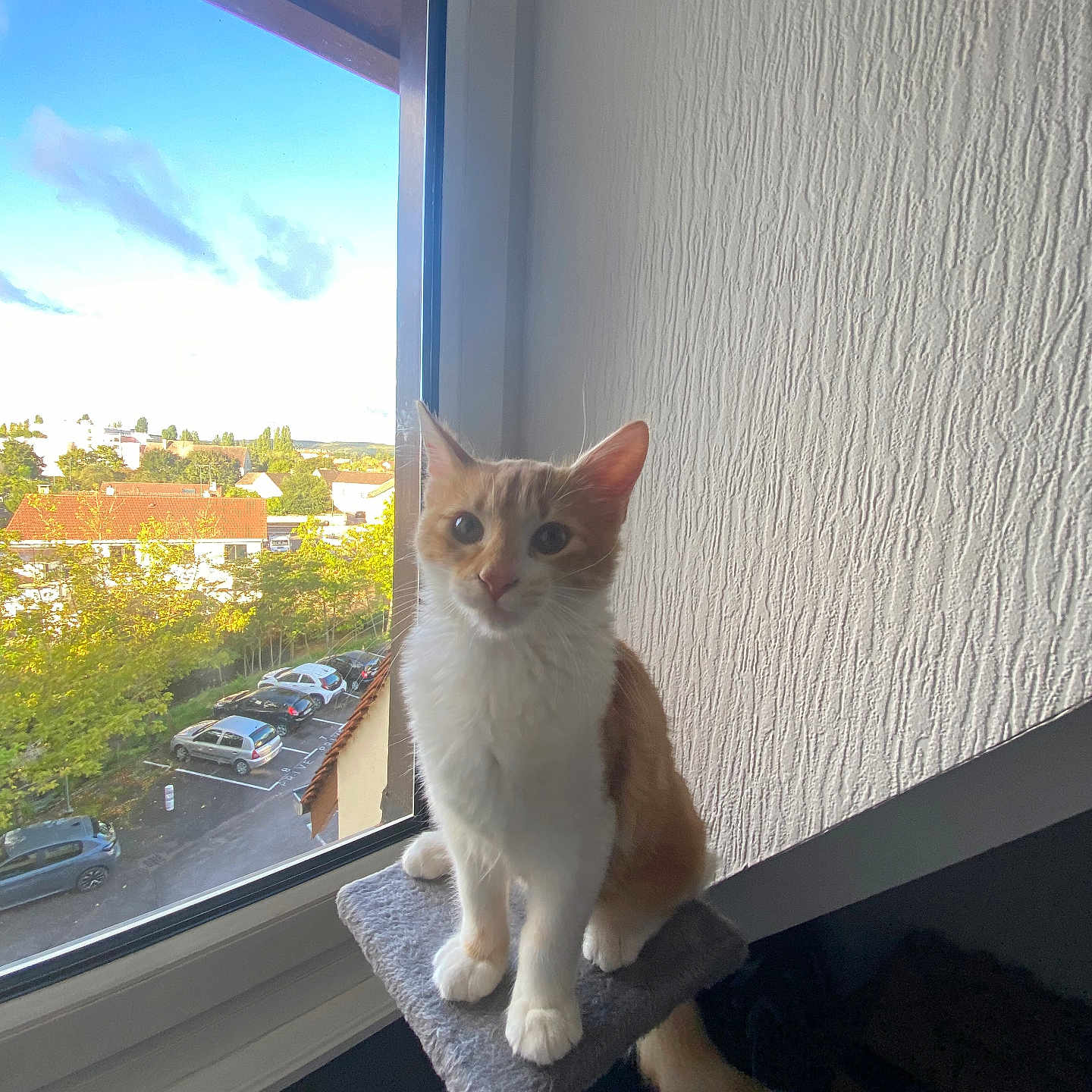 Aiko