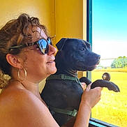 Saga a rejoint le concours — aidez-le/la à gagner de superbes lots ! woman, dog, black_dog, sunglasses, window, sunlight, outdoor_view, green_field, happy, smiling, curly_hair, earrings, pet, human_animal_interaction, leash, holding, looking_out, daylight, portrait, casual