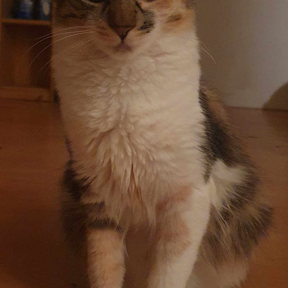 Nina