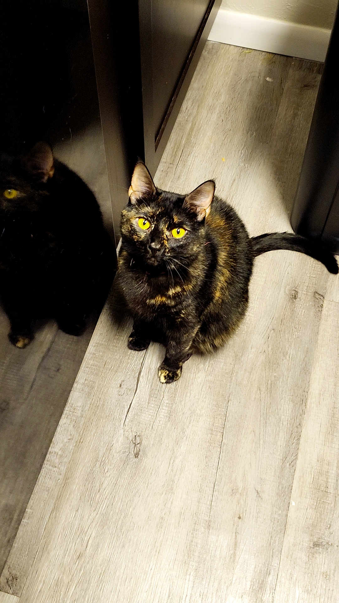 Lilah