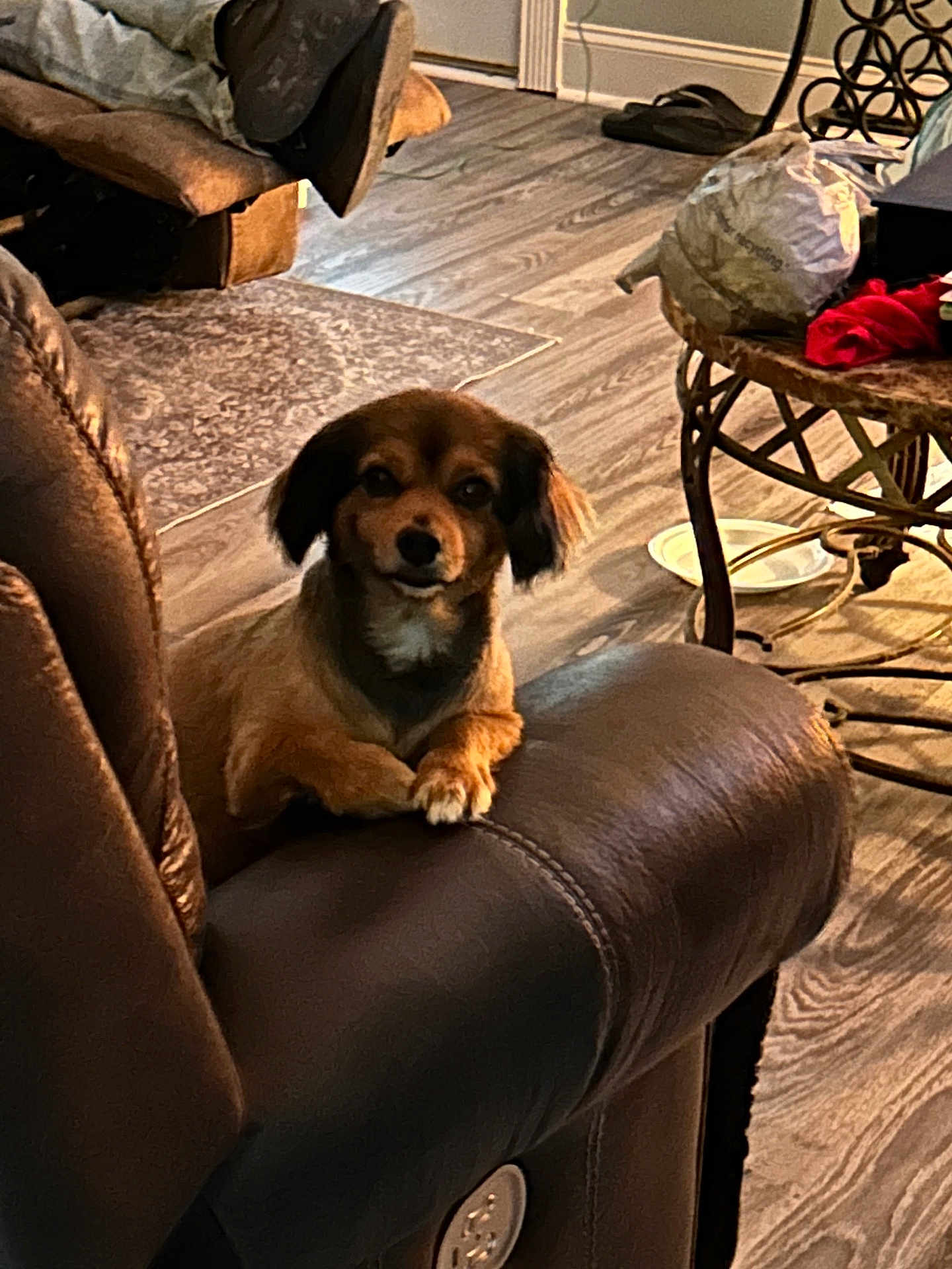 Nova