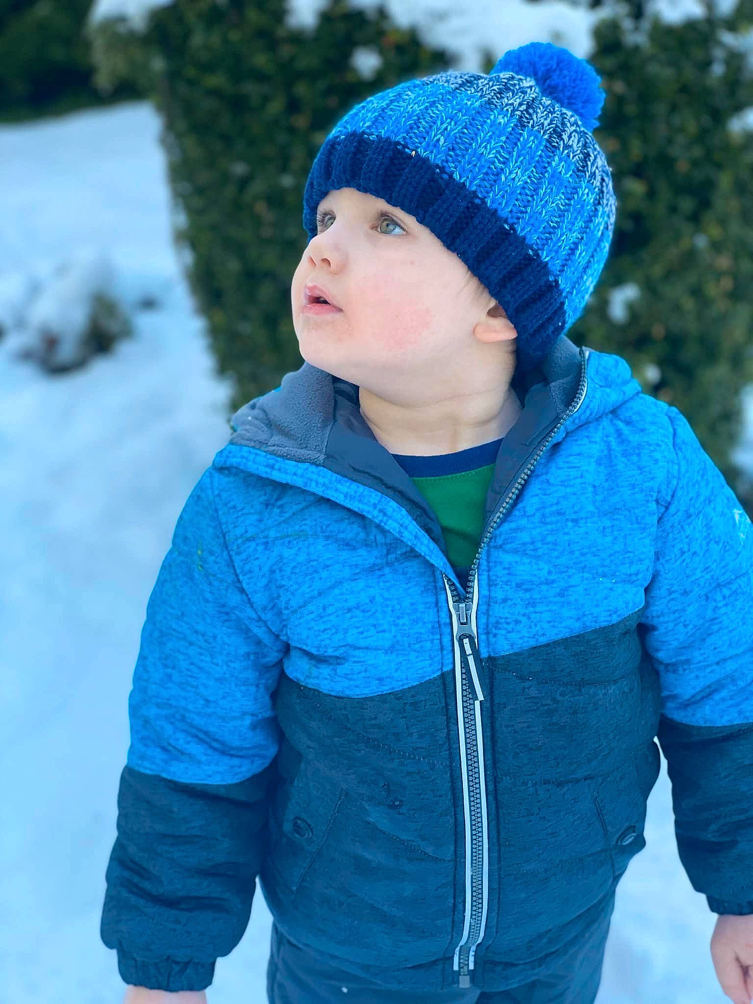 Ethan is registered to the contest to win money with this photo: beanie, blue, bonnet, cap, child, clothing, cobalt_blue, cool, electric_blue, freezing, fur, headgear, headwear, hood, hoodie, jacket, knit_cap, outerwear, person, snow