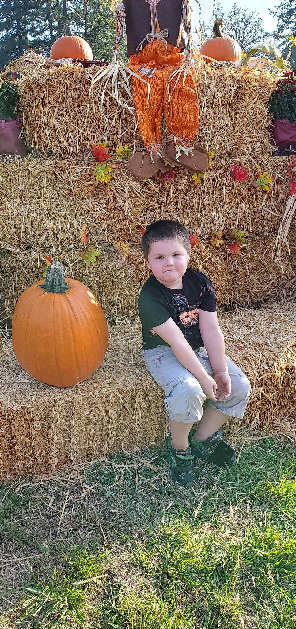 Ethan joined the competition — help win amazing prizes! _and_melon_family, _gourd, calabaza, cucumber, cucurbita, fruit, gourd, grass, hay, person, plant, pumpkin, squash, straw, vegetable, winter_squash