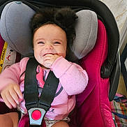 énola a rejoint le concours — aidez-le/la à gagner de superbes lots ! animal, baby, black_cat, car_seat, child, clothing, cute, face, furry, hand, happy, headrest, indoors, infant, kitten, person, pet, pink, seatbelt, smiling