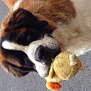 Ipoon participe au concours pour gagner de l'argent avec cette photo :