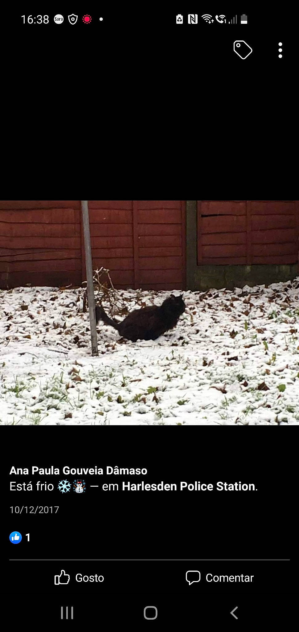 Niko is registered to the contest to win money with this photo: bird, darkness, flooring, font, grass, landscape, monochrome, monochrome_photography, photo_caption, rectangle, rock, room, shadow, snow, soil, still_life_photography, terrestrial_plant, tints_and_shades, winter, wood