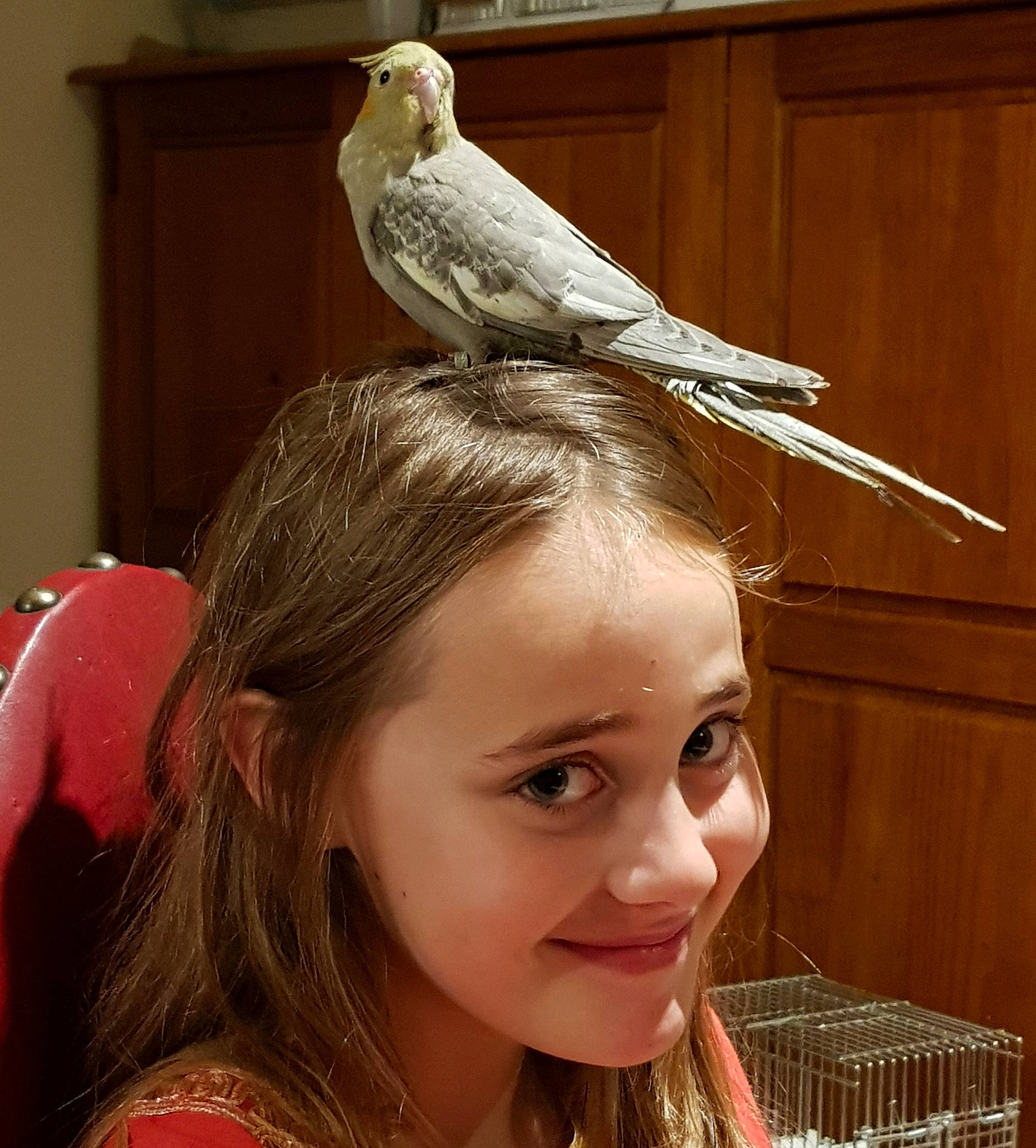 Elisa participe au concours pour gagner de l'argent avec cette photo : accipitriformes, beak, bird, bird_of_prey, event, eyelash, falconiformes, fashion_accessory, feather, hair_accessory, happy, headband, headpiece, jewellery, joy, long_hair, neck, peafowl, person, smile