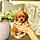 Winnie