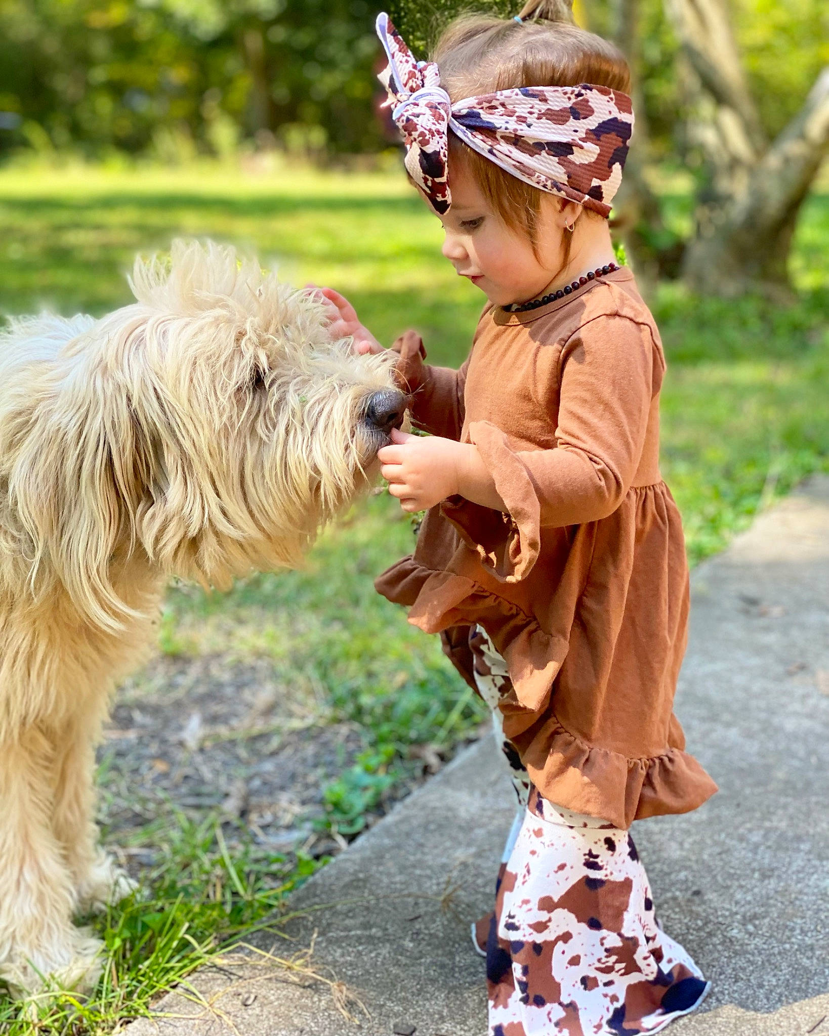 Lorelai is registered to the contest to win money with this photo: carnivore, child, companion_dog, dog, dog_breed, dog_clothes, fashion_accessory, gesture, grass, hair_accessory, happy, headband, headpiece, person, personal_protective_equipment, small_terrier, sporting_group, terrier, toddler, toy_dog