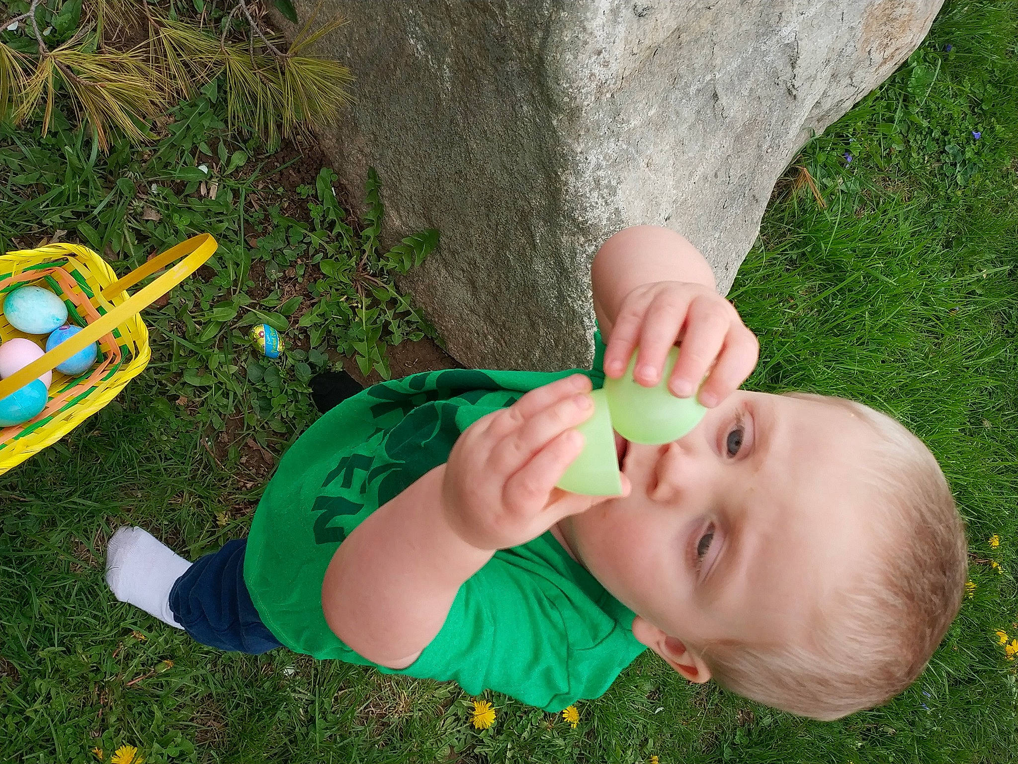 Maximus is registered to the contest to win money with this photo: baby, child, ear, finger, fun, grass, green, hand, lawn, leaf, leisure, meadow, person, plant, play, toddler, vacation