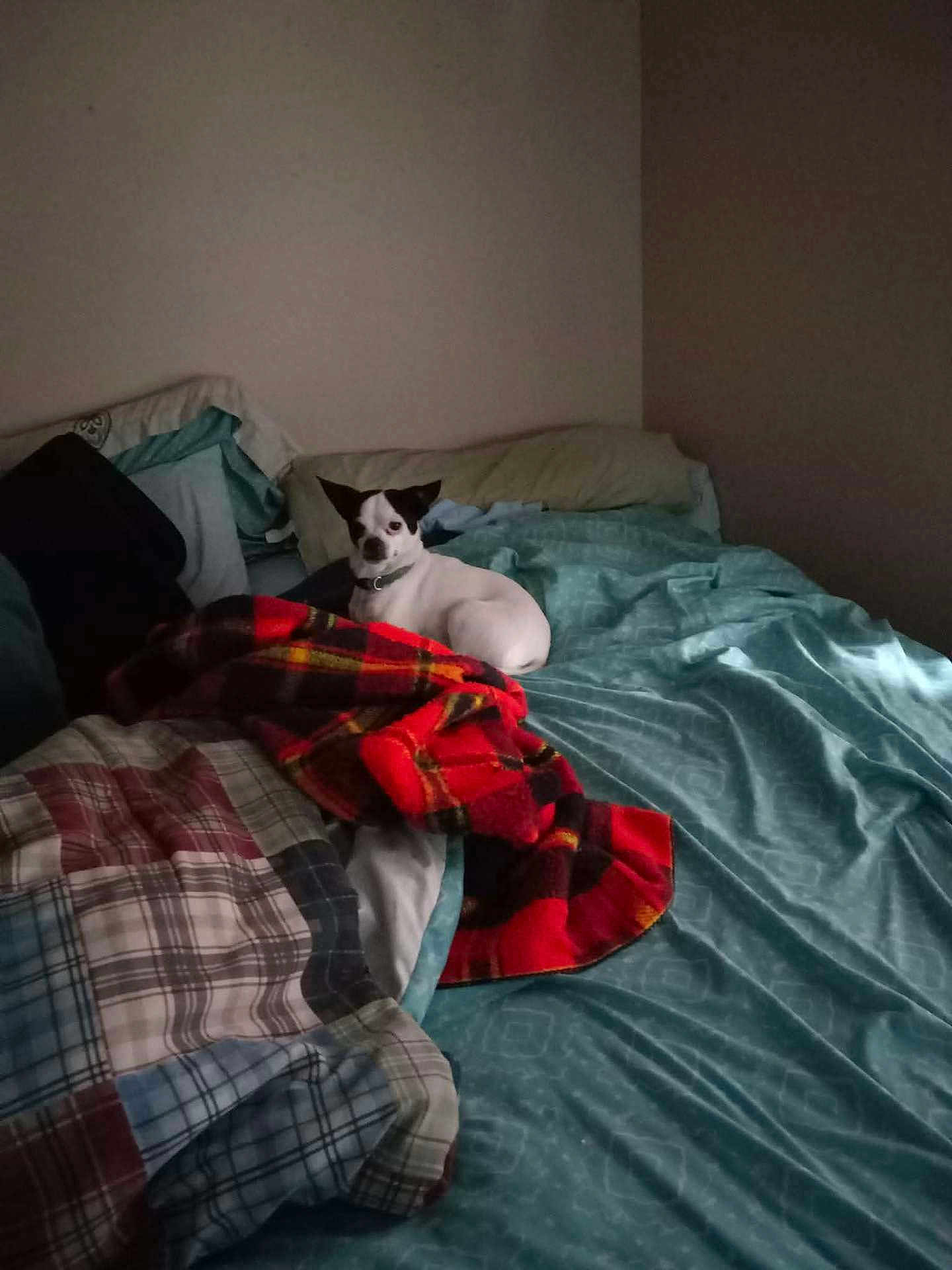 Señor
