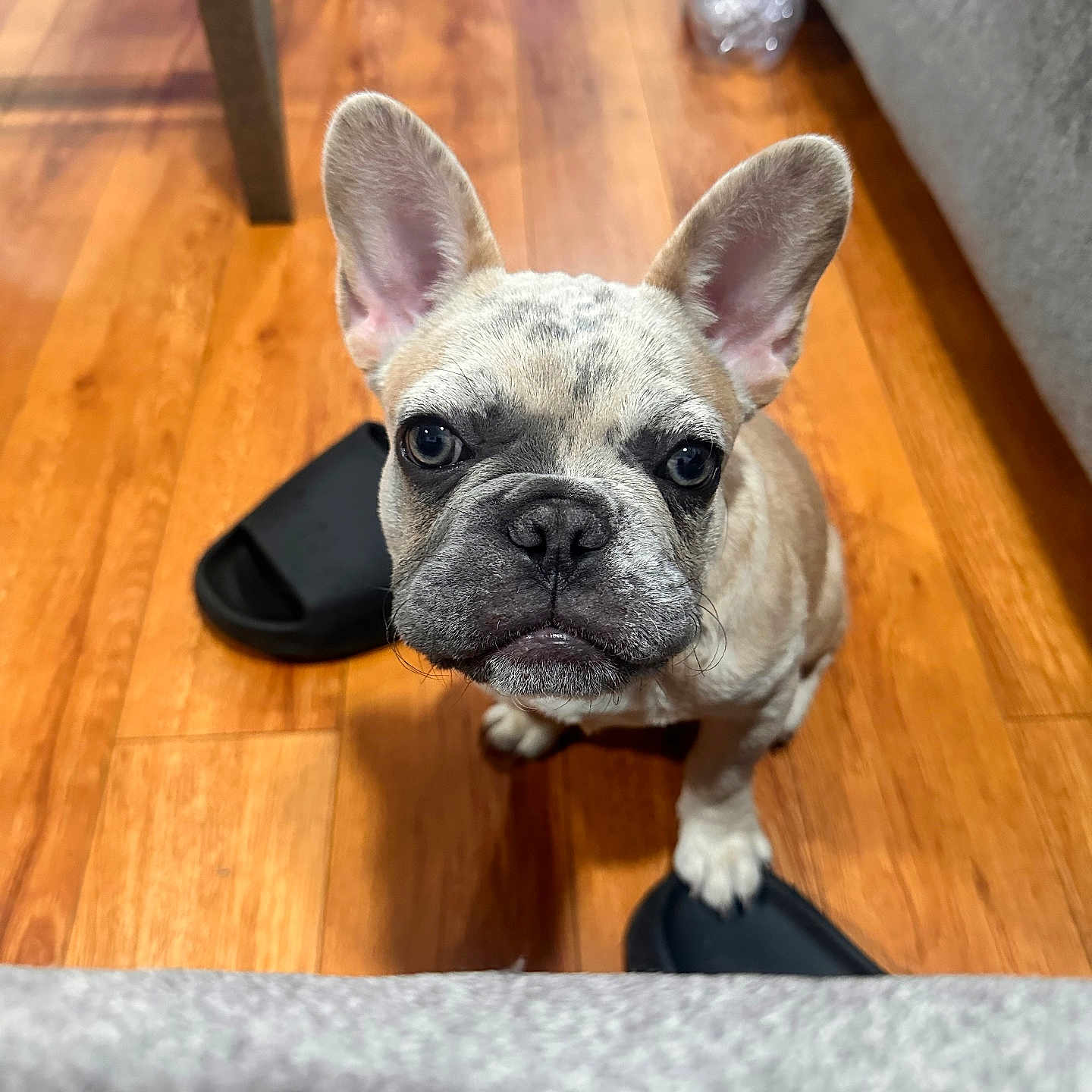 Max