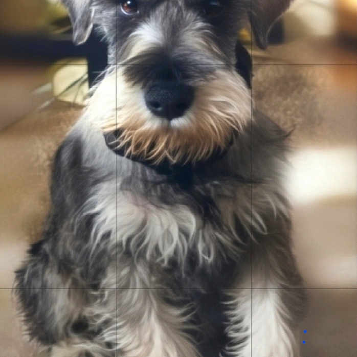 Mr. Charles Anthony