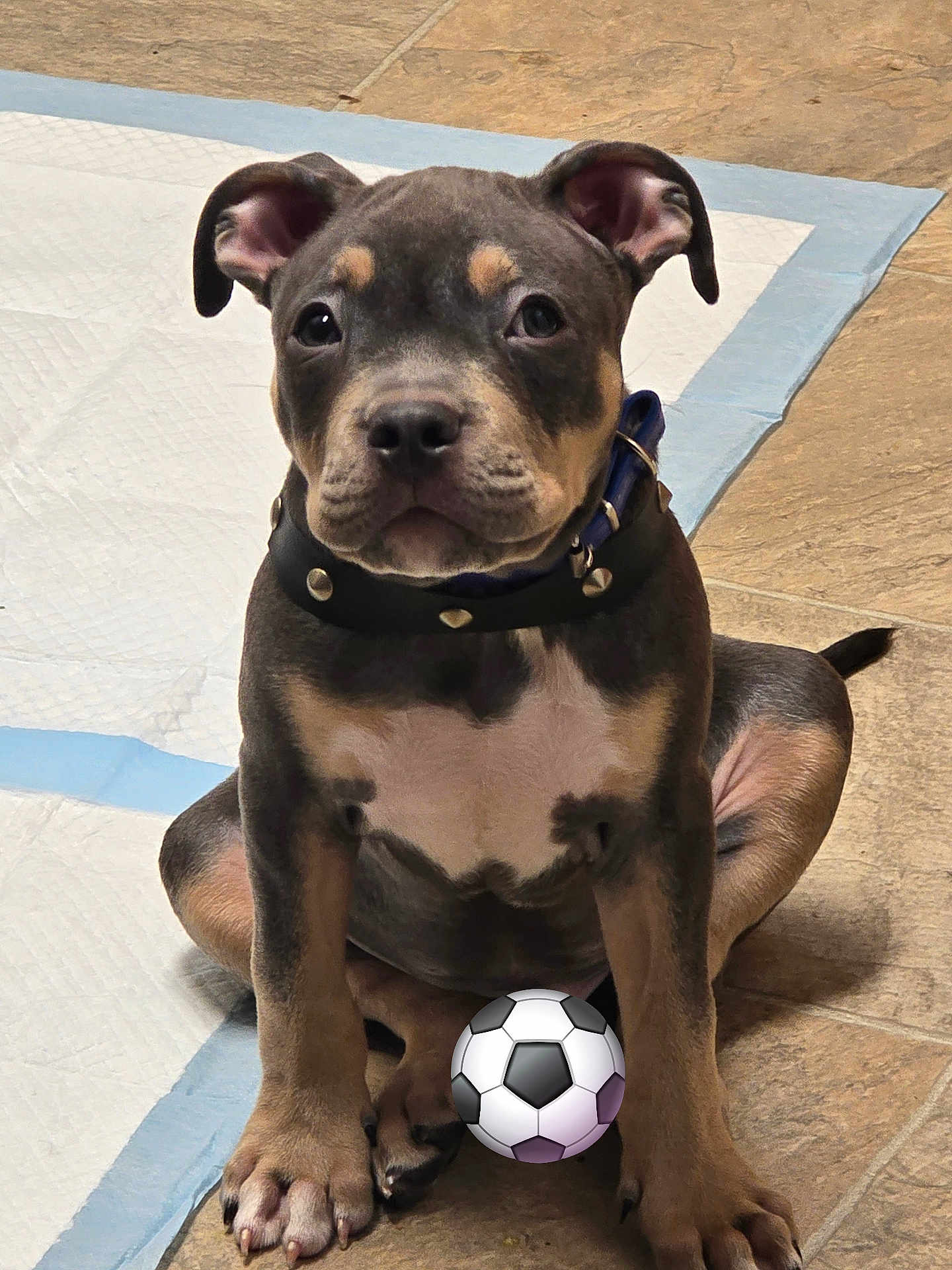 Babyblu