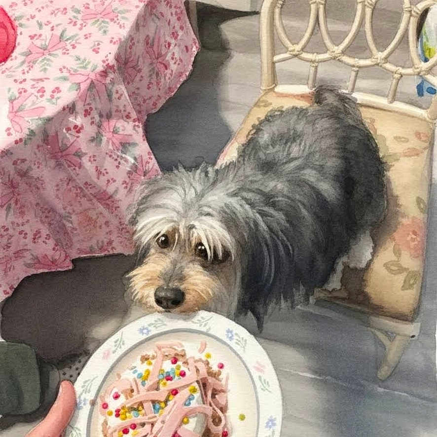 Chapo Vazquez is registered to the contest to win money with this photo: dog, plate, food, person, hand, watching, tablecloth, floral_pattern, chair, floor, indoor, curious, pet, animal, home, table, colorful, watching_dog, human_hand, cozy
