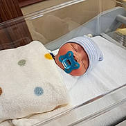 Kyren is registered to the contest to win money with this photo: newborn, baby, infant, pacifier, blue_pacifier, striped_hat, polka_dot_blanket, swaddled, hospital_bassinet, crib, sleeping, peaceful, blanket, close_up, medical_setting, indoors, soft_textile, head, face, portrait