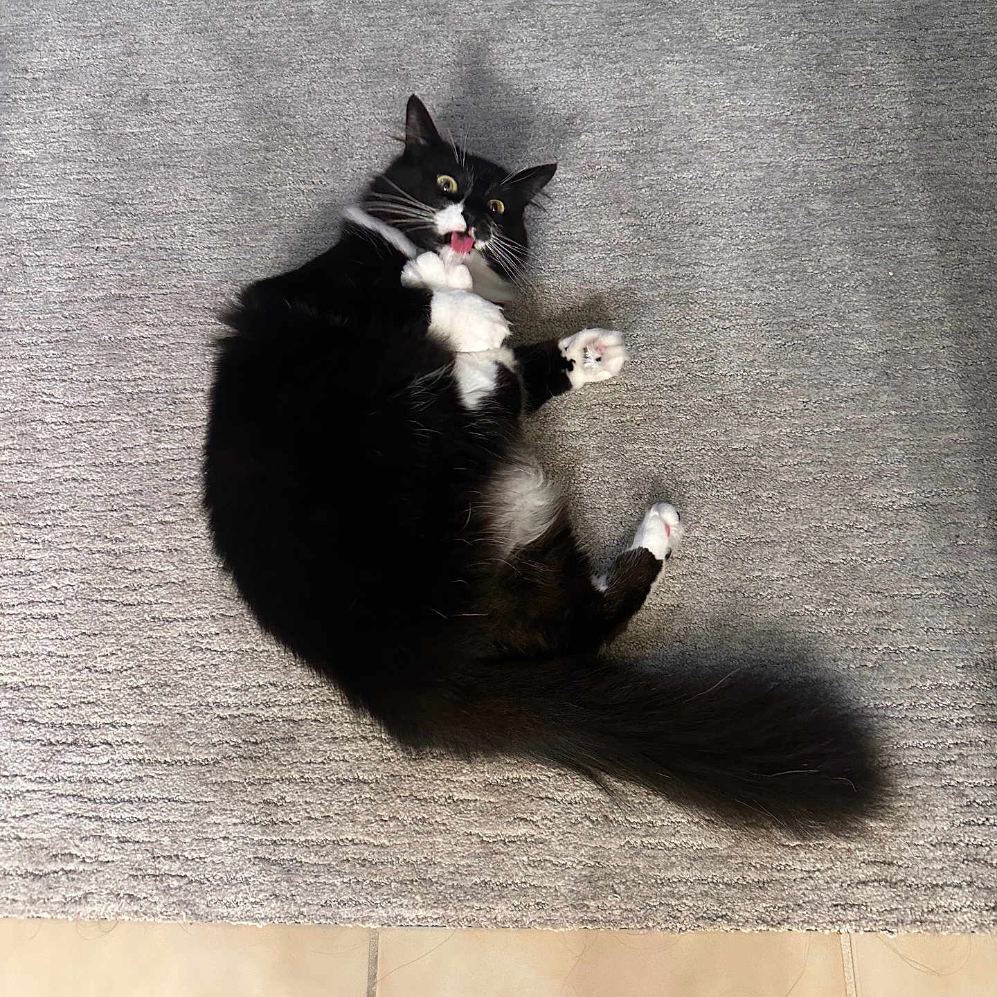 Oreo