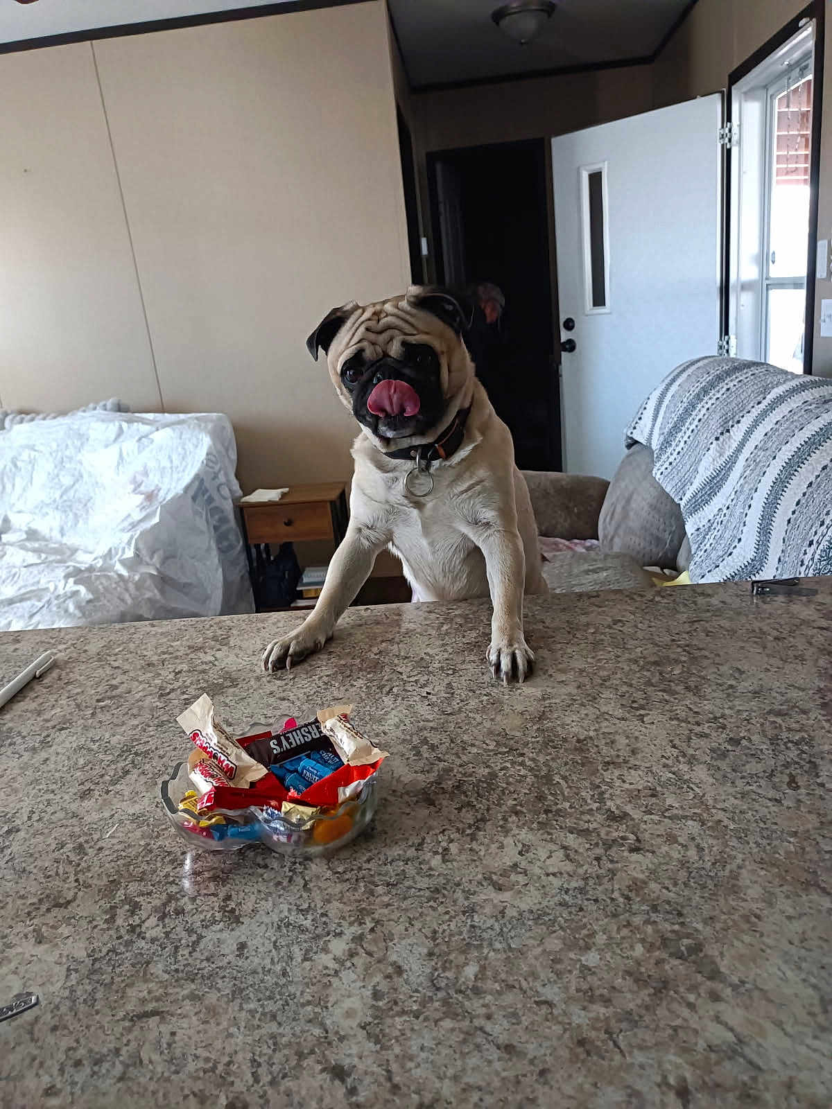 Peanut