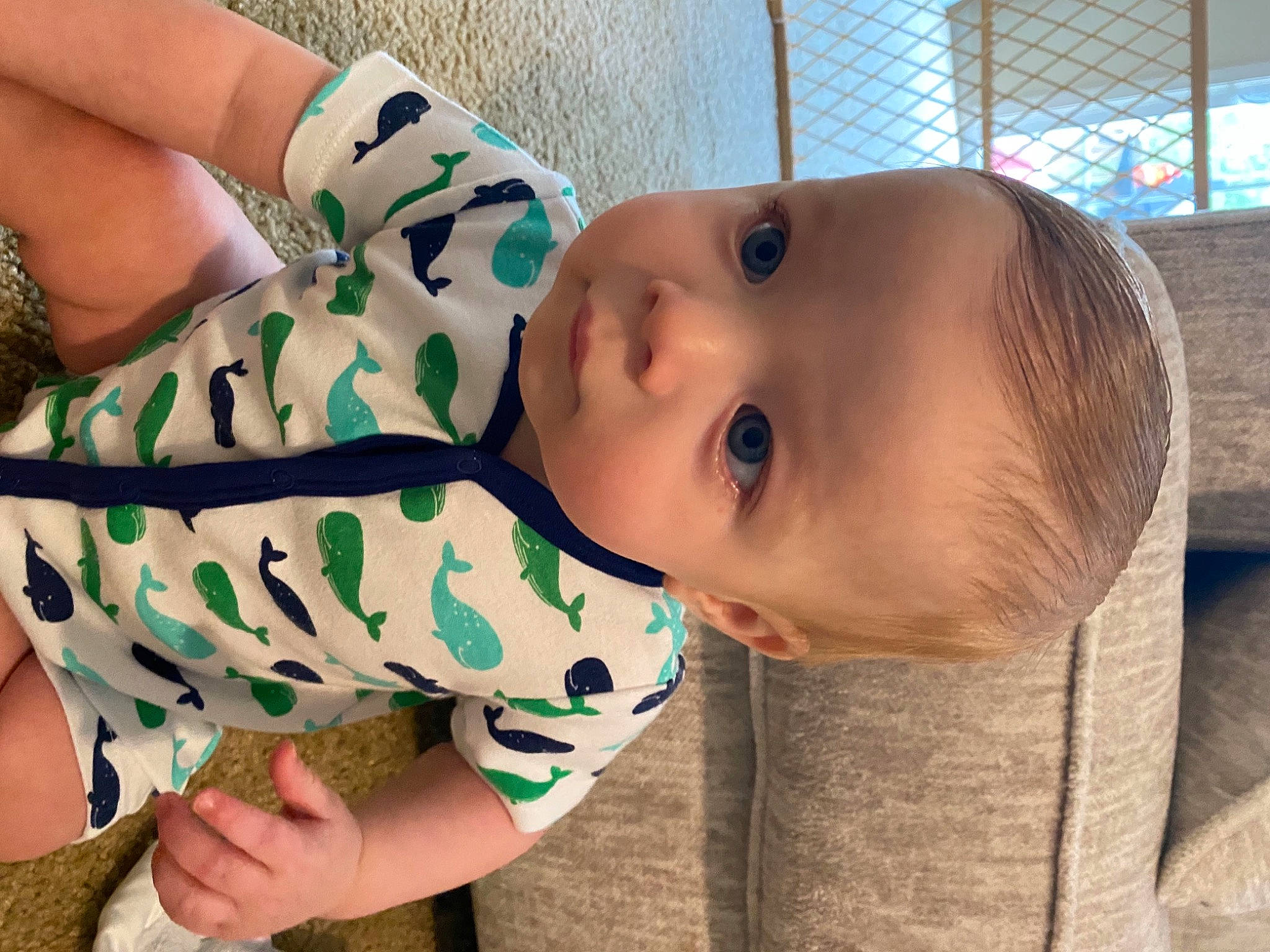 Caspian is registered to the contest to win money with this photo: baby, baby_toddler_clothing, cheek, child, comfort, elbow, eye, finger, happy, head, human_body, linens, lip, neck, nose, person, skin, sleeve, textile, toddler