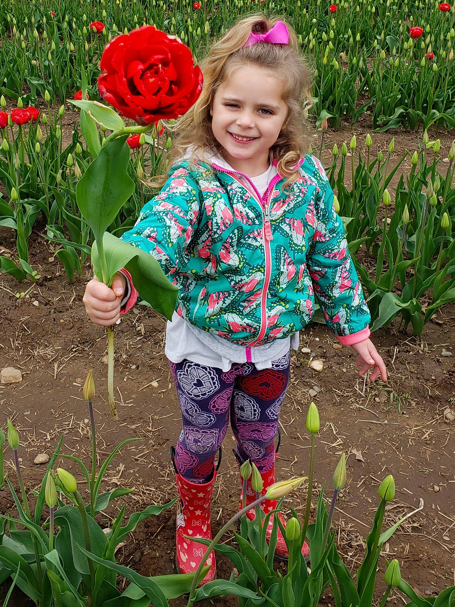 Hadley joined the competition — help win amazing prizes! botany, child, flower, flowering_plant, garden, gardening, joy, lily_family, person, plant, spring, toddler, tulip
