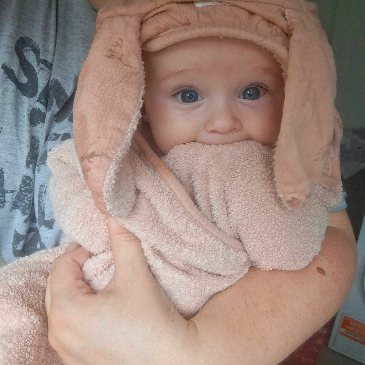 Florence-Louise is registered to the contest to win money with this photo: adult, arm, baby, child, clothing, curious, cute, ears, hand, holding, hood, indoor, peach, person, portrait, skin, soft, towel, wide_eyes, wrapped