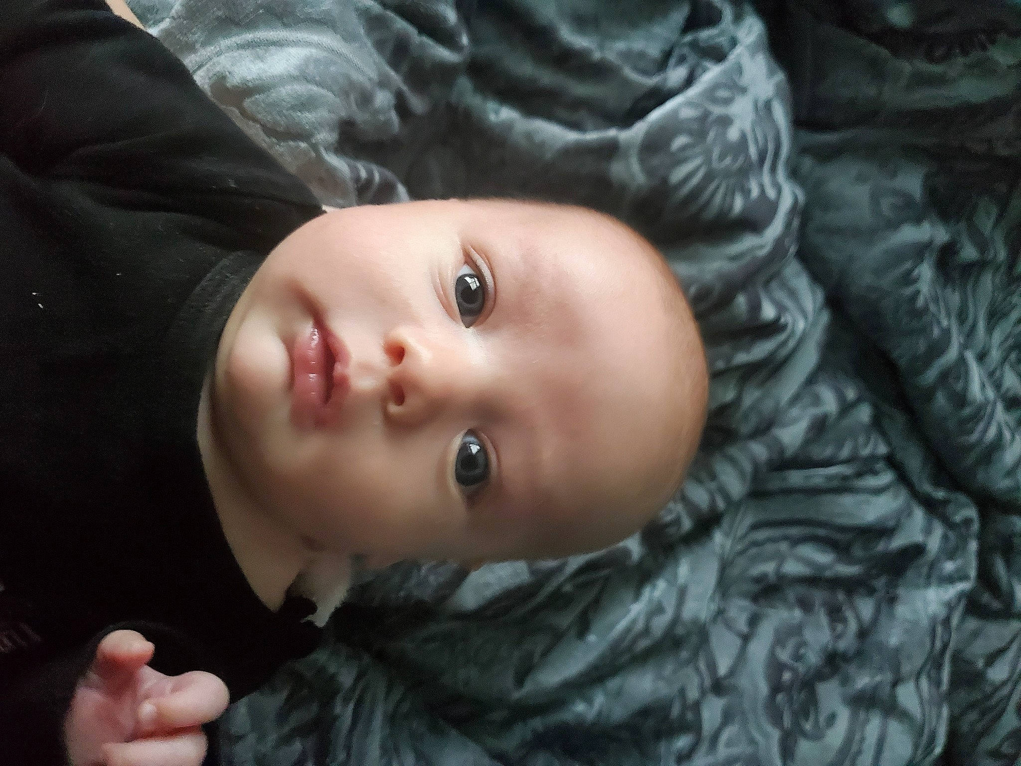 Dustin is registered to the contest to win money with this photo: baby, cheek, child, chin, cool, eye, eyebrow, eyelash, flash_photography, grass, head, iris, lip, mouth, nose, person, skin, sleeve, smile, toddler