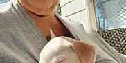 Tator Tot is registered to the contest to win money with this photo: blonde_hair, closeup, cozy, daylight, dog, face, gray_shirt, hand, outdoor, person, pet, portrait, puppy, resting, ring, skin, sleeping, sunlight, wicker_chair, window