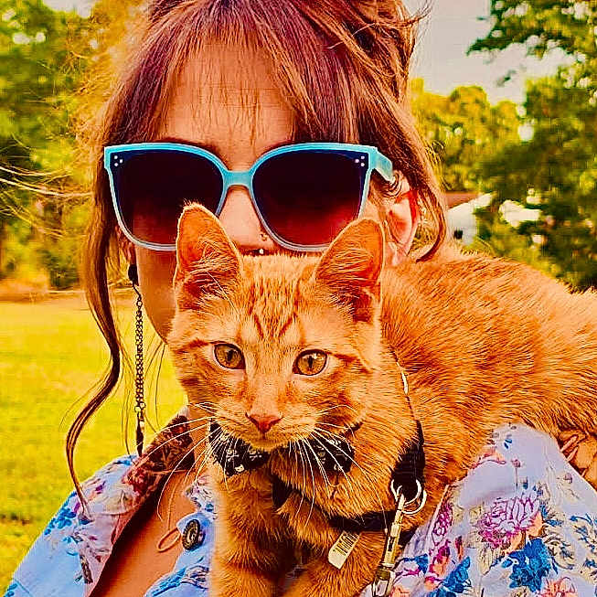 Little Sir Lucifer joined the competition — help win amazing prizes! animal, casual, cat, closeup, earrings, face, fashion, floral_jacket, greenery, hair, leash, nature, orange_tabby, outdoor, person, pet, portrait, shoulder, sunglasses, sunny_day