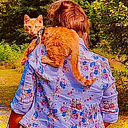 Little Sir Lucifer joined the competition — help win amazing prizes! animal, back_view, casual_clothing, cat, curious_cat, daytime, floral_jacket, greenery, leash, nature, orange_cat, outdoor, path, person, pet, shoulder, sunlight, trees, walking, yellow_skirt