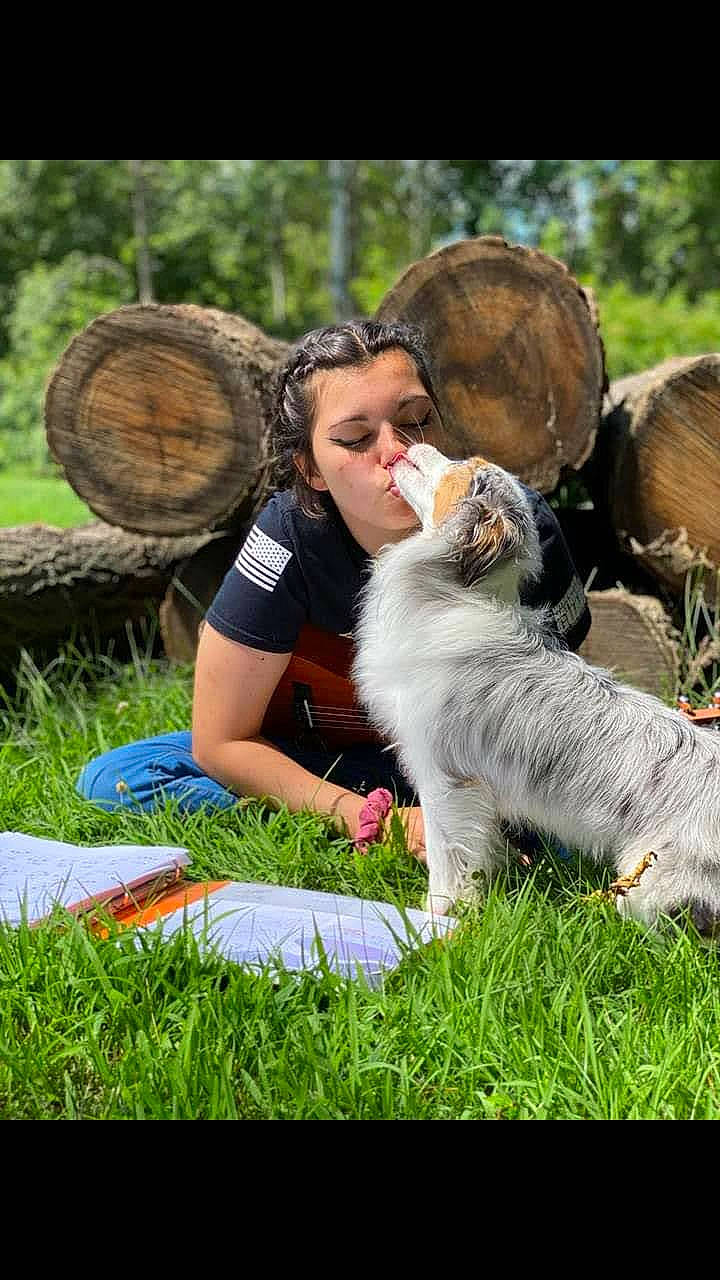 Willow joined the competition — help win amazing prizes! australian_shepherd, canidae, carnivore, companion_dog, dog, dog_breed, grass, mammal, miniature_australian_shepherd, play, sporting_group