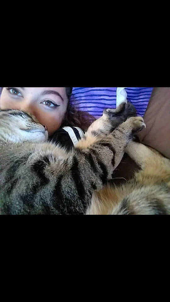 Tobias is registered to the contest to win money with this photo: carnivore, cat, ear, felidae, fur, fur_clothing, nose, photo_caption, photography, selfie, skin, small_to_medium_sized_cats, tabby_cat, textile, whiskers