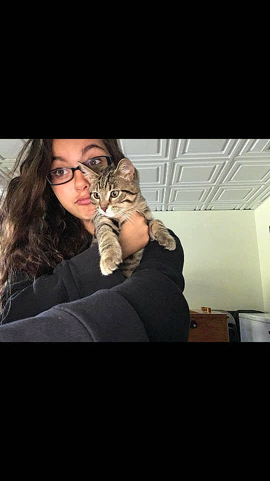 Tobias joined the competition — help win amazing prizes! arm, bengal, carnivore, cat, eyewear, felidae, fur, glasses, kitten, leg, mouth, nose, photography, selfie, shoulder, sitting, small_to_medium_sized_cats, snapshot, tabby_cat, whiskers