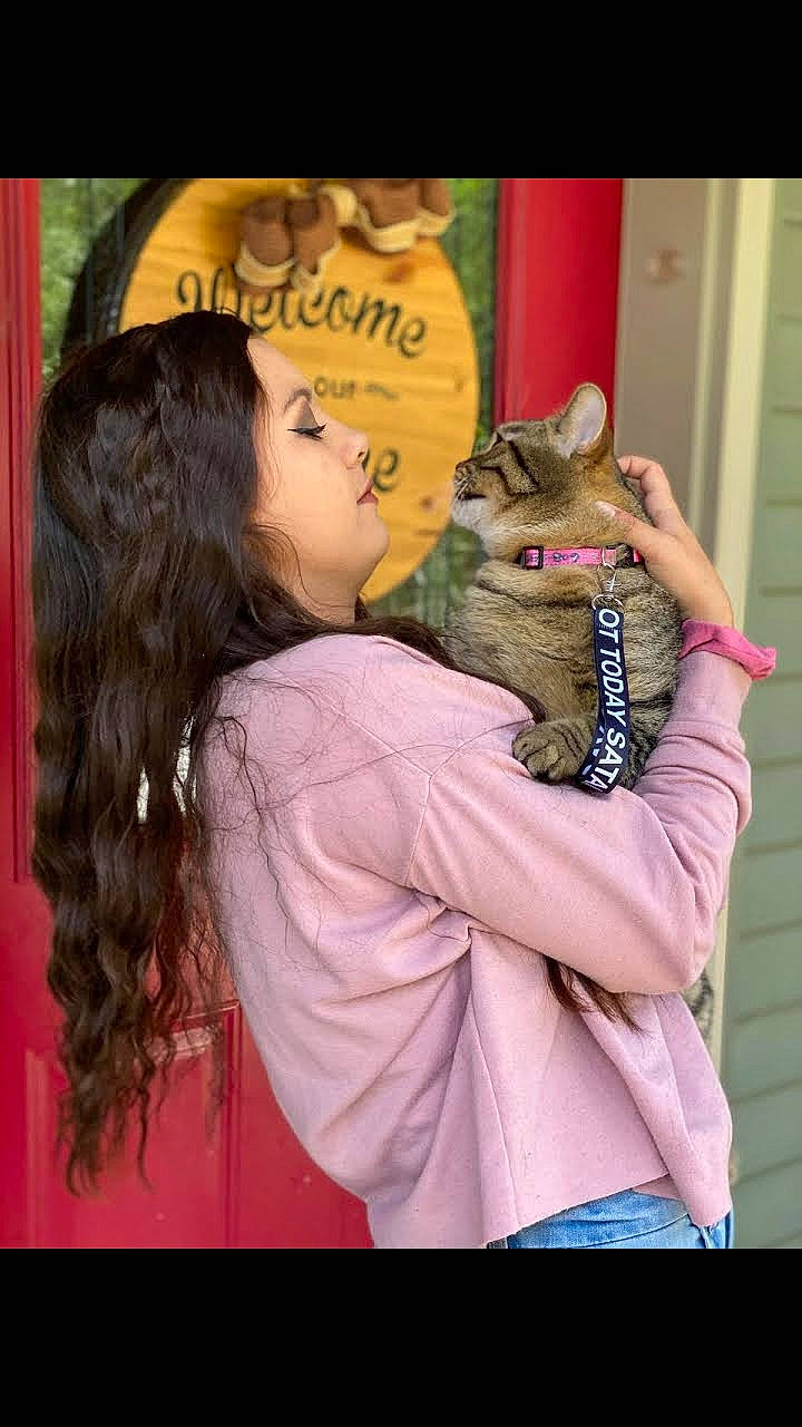 Tobias joined the competition — help win amazing prizes! carnivore, cat, chausie, ear, fawn, felidae, hug, kitten, photo_caption, pixie_bob, small_to_medium_sized_cats, squirrel, whiskers