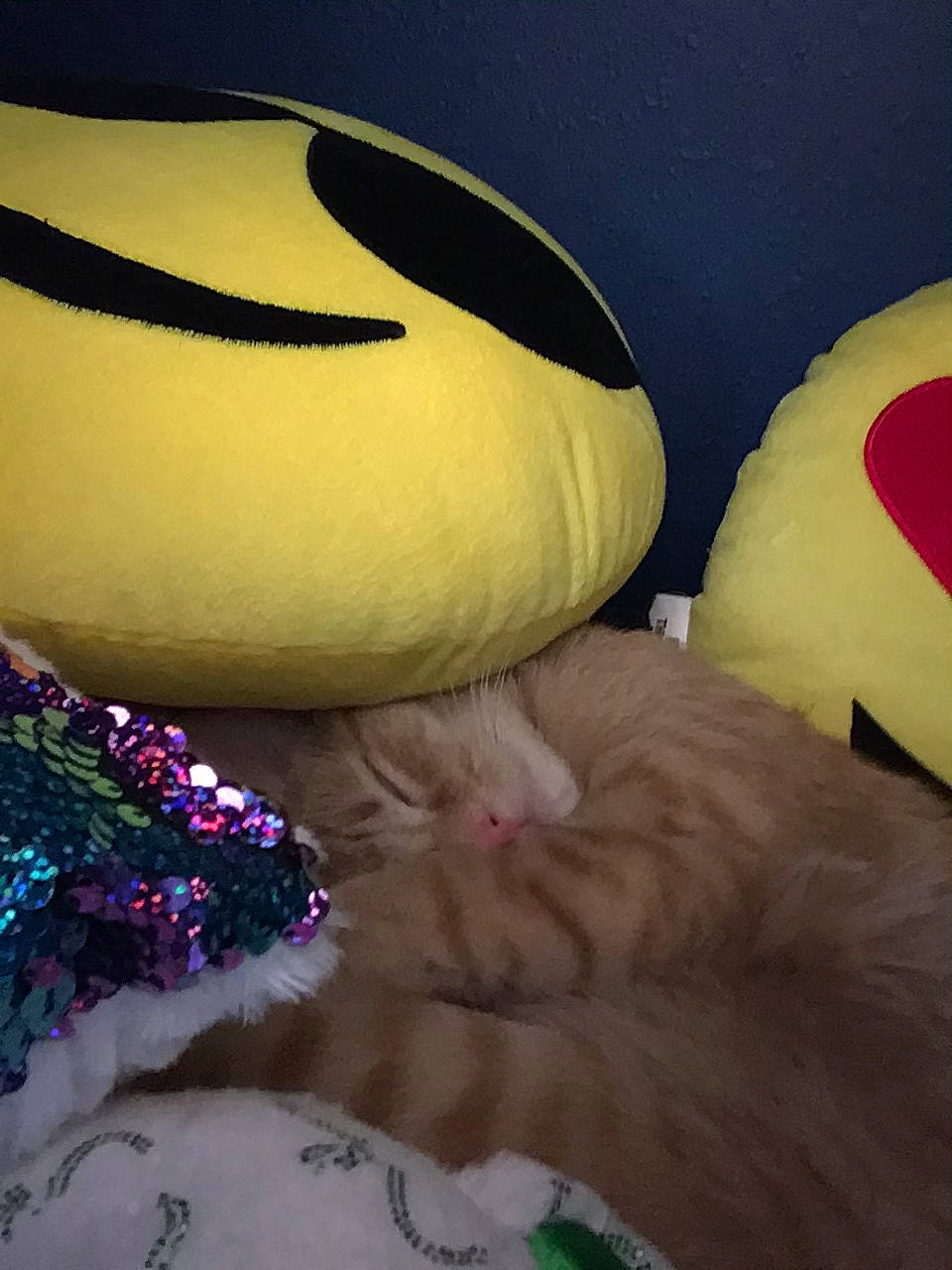 Cyber Pesky joined the competition — help win amazing prizes! plush, stuffed_toy, textile, toy, yellow