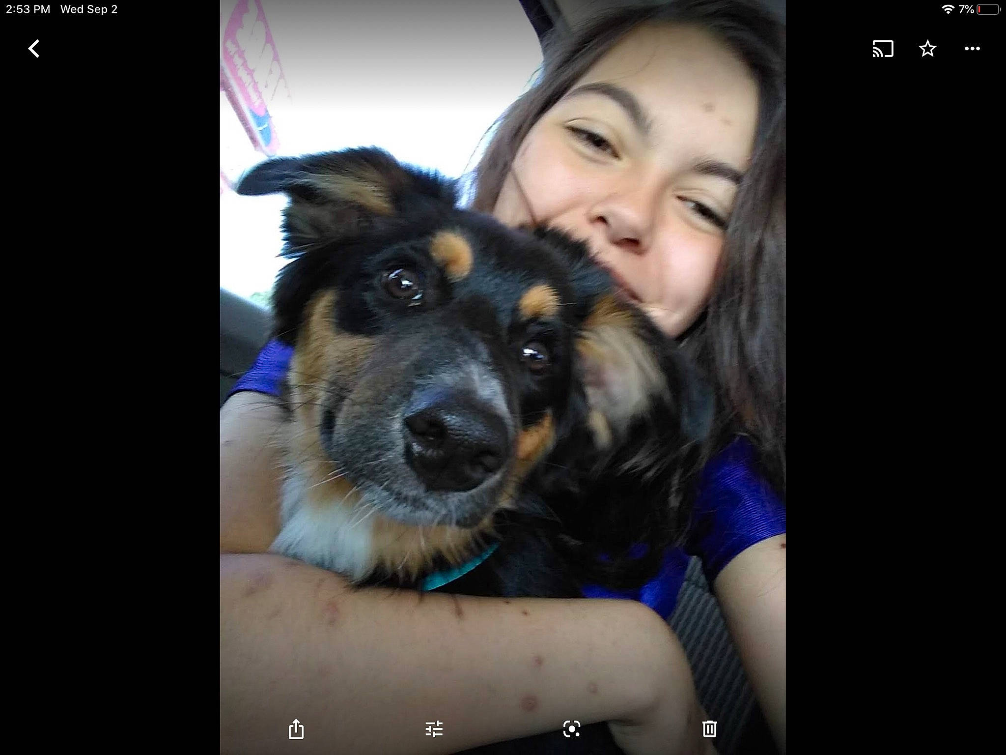 Dakota is registered to the contest to win money with this photo: canidae, carnivore, companion_dog, dog, dog_breed, eye, german_shepherd_dog, mammal, nose, photo_caption, photography, puppy, puppy_love, selfie, smile, snout, vertebrate, working_dog