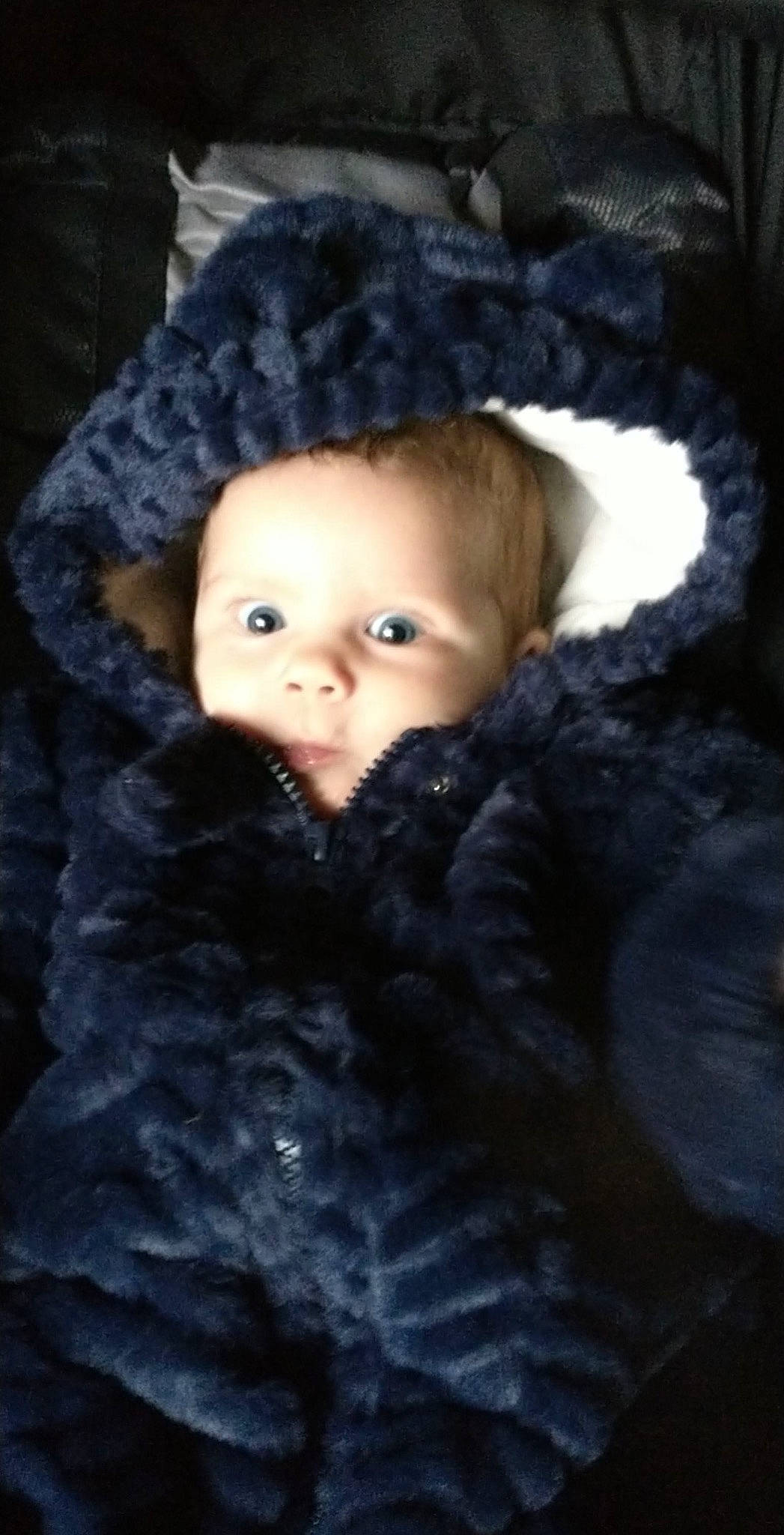 Scarlett is registered to the contest to win money with this photo: art, beanie, cap, cheek, child, darkness, electric_blue, eyebrow, eyelash, fashion_accessory, flash_photography, fur, iris, knit_cap, natural_material, outerwear, person, textile, winter, wool