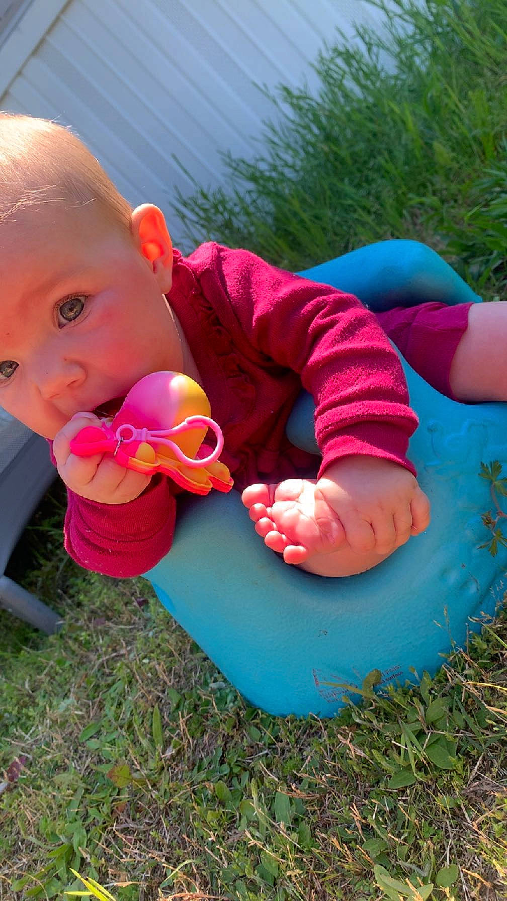 Nova joined the competition — help win amazing prizes! baby, baby_products, baby_toddler_clothing, botany, child, circle, fun, garden, grass, happy, lawn, leisure, people_in_nature, person, plant, play, recreation, sitting, toddler, vacation