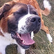 Gaïa a rejoint le concours — aidez-le/la à gagner de superbes lots !