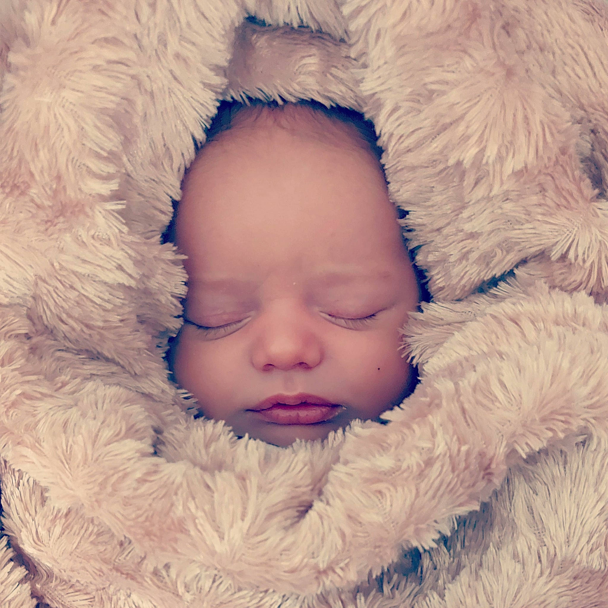 Logan a rejoint le concours — aidez-le/la à gagner de superbes lots ! baby, baby_sleeping, bedtime, cheek, comfort, fur, fur_clothing, lip, love, nap, natural_material, organ, person, photography, skin, sleep