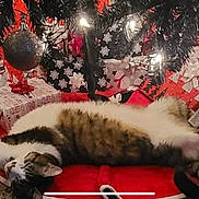 Gypsy joined the competition — help win amazing prizes! cat, tabby, christmas_tree, christmas_lights, christmas_ornaments, presents, tree_skirt, holiday, indoor, relaxed, sleeping, festive, decorations, red, white, brown, black, cozy, pet, floor