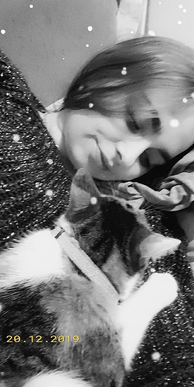 Kitty a rejoint le concours — aidez-le/la à gagner de superbes lots ! black_and_white, canidae, fur, jaw, monochrome, nose, photography, whiskers