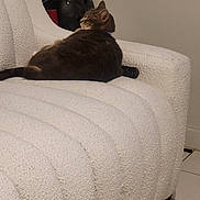 Boo Peep is registered to the contest to win money with this photo: cat, tabby, pet, feline, couch, white_couch, indoor, relaxing, fur, tail, home, comfort, seated, looking_away, tile_floor, furniture, cozy, domestic_animal, resting, side_view