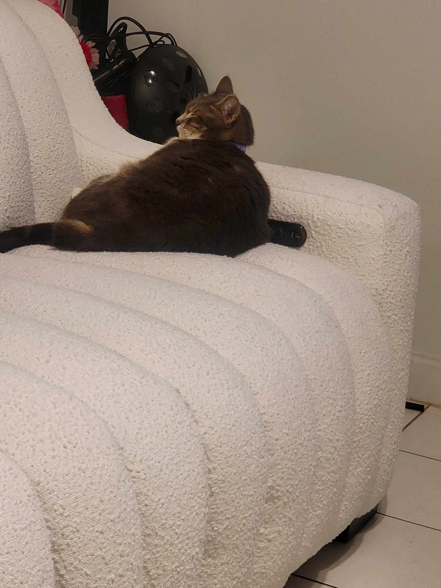 Boo Peep is registered to the contest to win money with this photo: cat, tabby, pet, feline, couch, white_couch, indoor, relaxing, fur, tail, home, comfort, seated, looking_away, tile_floor, furniture, cozy, domestic_animal, resting, side_view