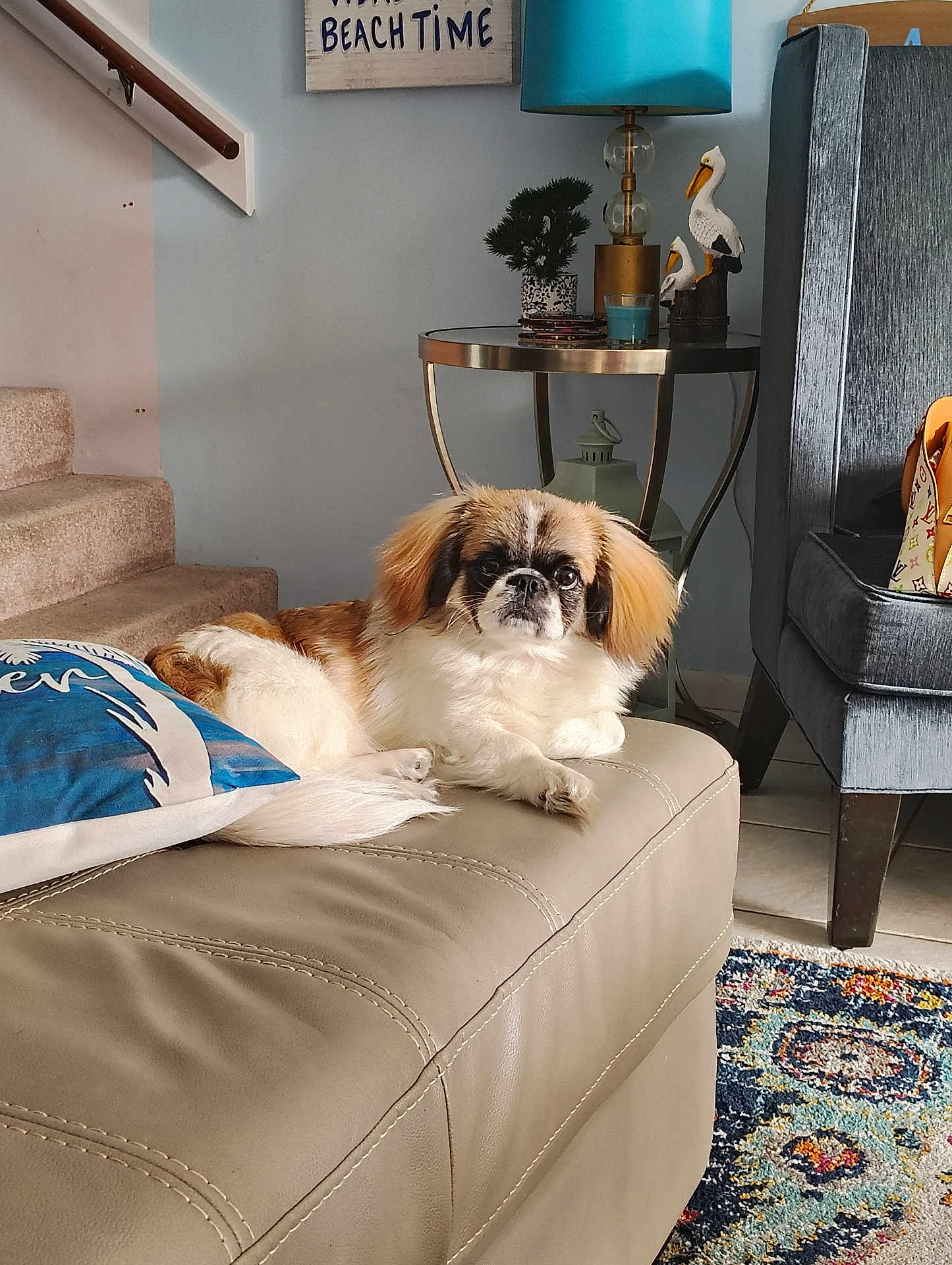 Gizmo