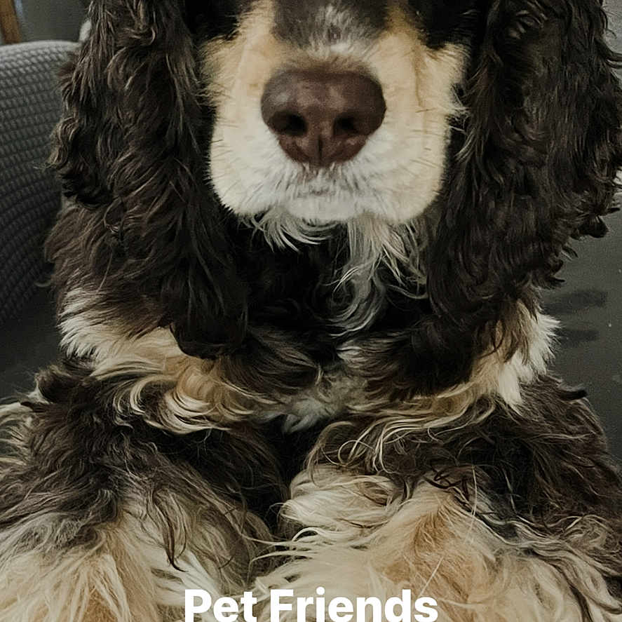 Odie