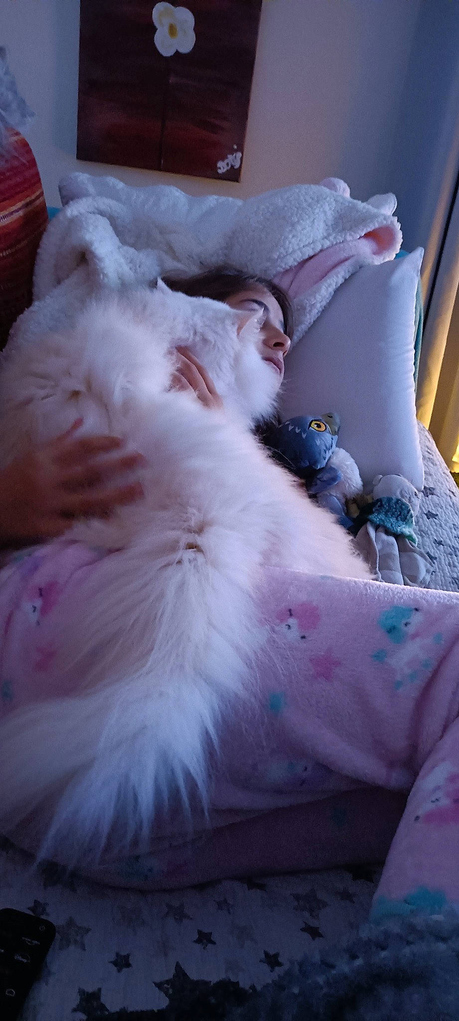 Newton participe au concours pour gagner de l'argent avec cette photo : bed, bed_sheet, bedding, carnivore, cat, comfort, couch, duvet, feather, felidae, fur, human_leg, linens, pattern, paw, pillow, pink, small_to_medium_sized_cats, tail, whiskers